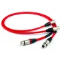 Кабель XLR Chord Company Shawline 2XLR–2XLR 2m